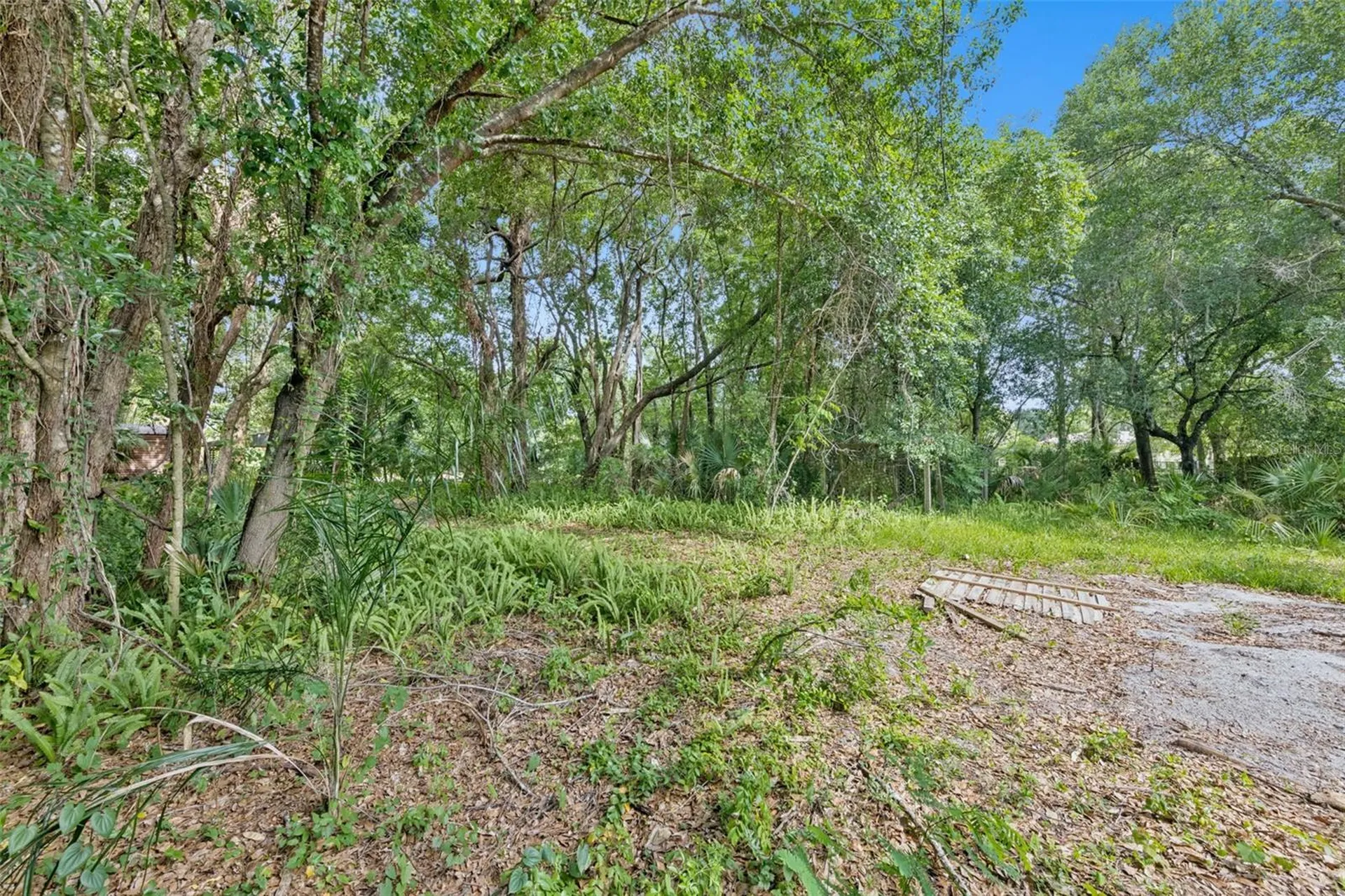 1318 Coletta Drive Orlando FL 32807
