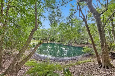 1318 Coletta Drive Orlando FL 32807