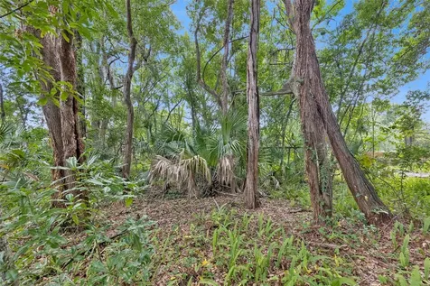1318 Coletta Drive Orlando FL 32807
