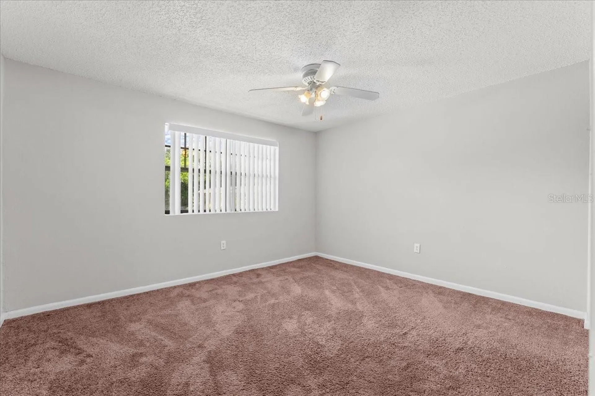 12407 Oak Cedar Place Tampa FL 33612