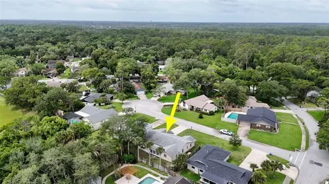 3 Overbrook Court Ormond Beach FL 32174