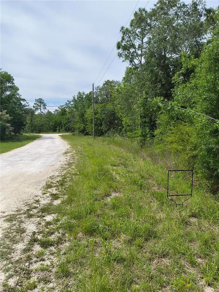 Cayman Road Weeki Wachee FL 34614
