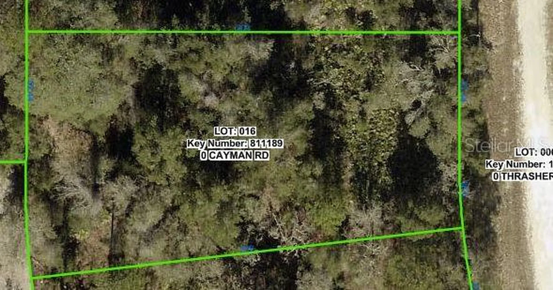 Cayman Road Weeki Wachee FL 34614