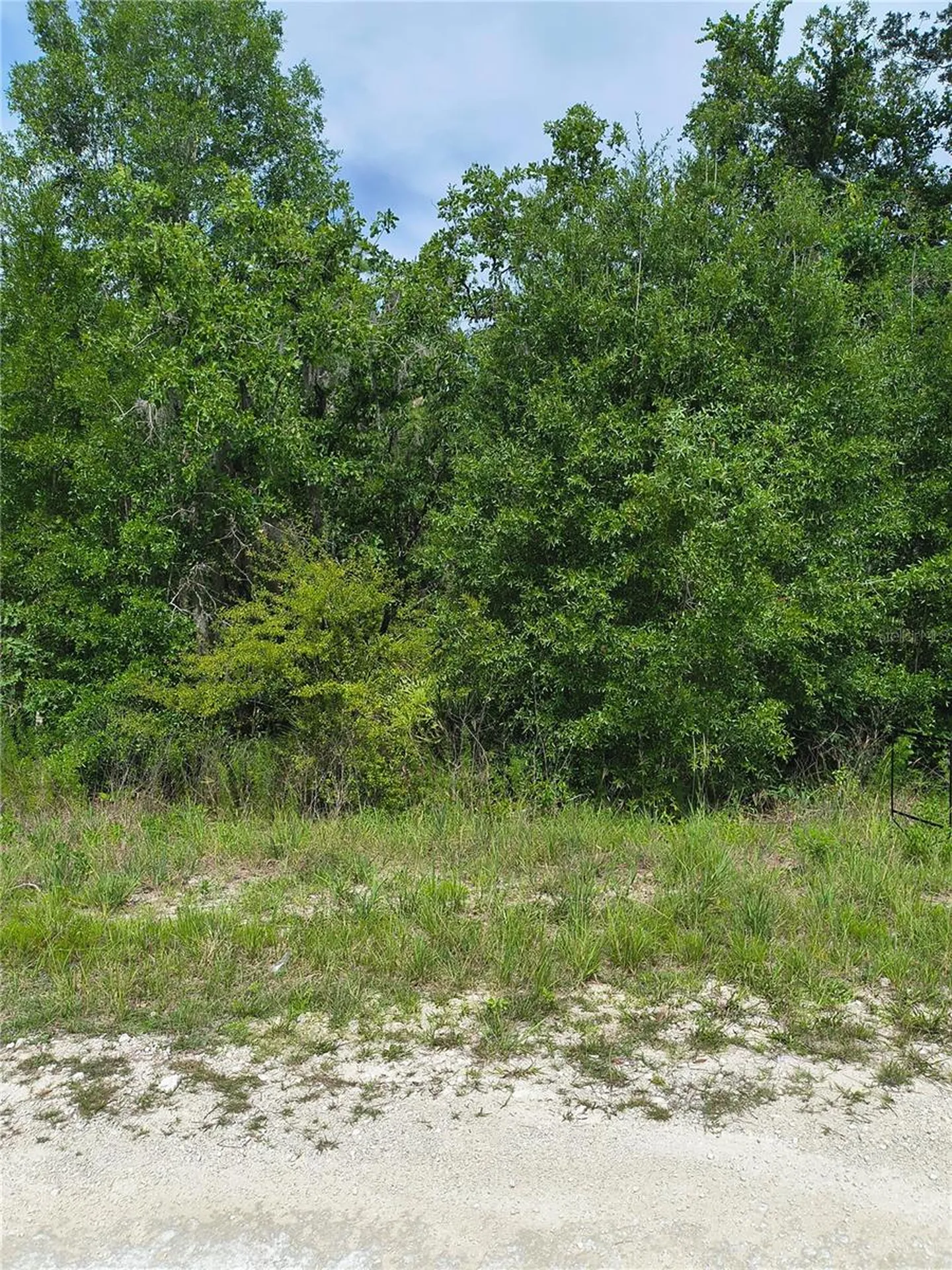 Cayman Road Weeki Wachee FL 34614