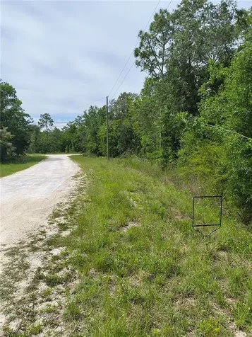 Cayman Road Weeki Wachee FL 34614