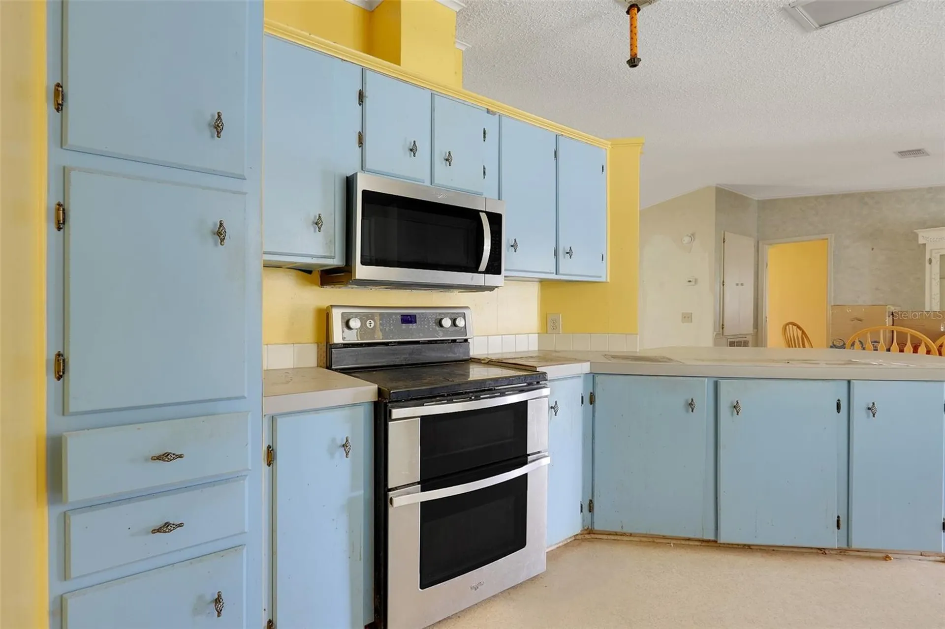 25224 Wild Heron Leesburg FL 34748
