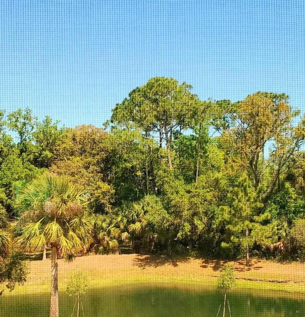 179 Misty Harbor Trace Palm Coast FL 32137