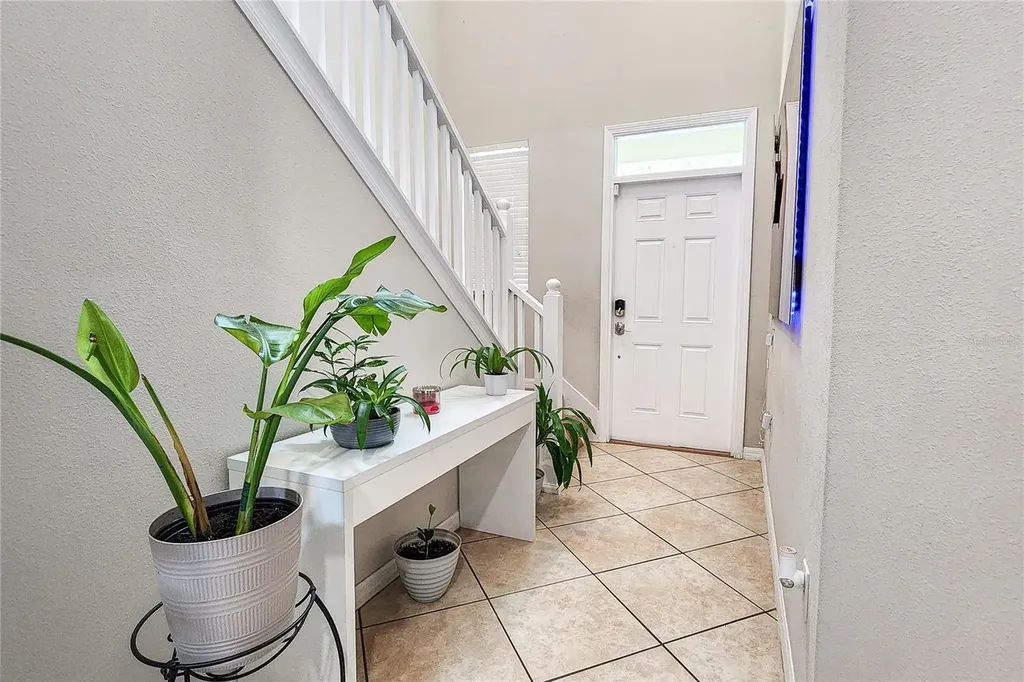949 Terra Vista Street Brandon FL 33511