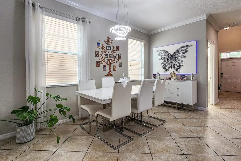 949 Terra Vista Street Brandon FL 33511