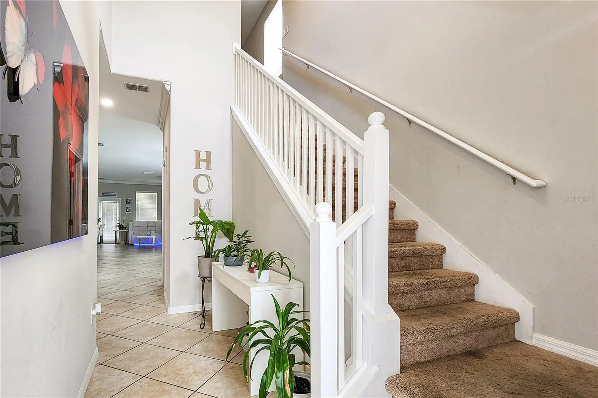 949 Terra Vista Street Brandon FL 33511