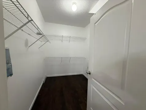 17977 Villa Creek Drive Tampa FL 33647