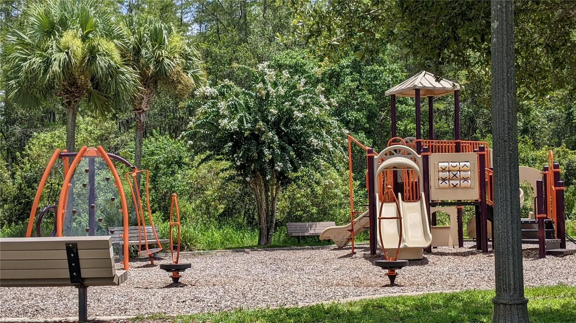 10799 Gran Paradiso Drive Orlando FL 32832