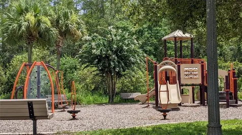 10799 Gran Paradiso Drive Orlando FL 32832