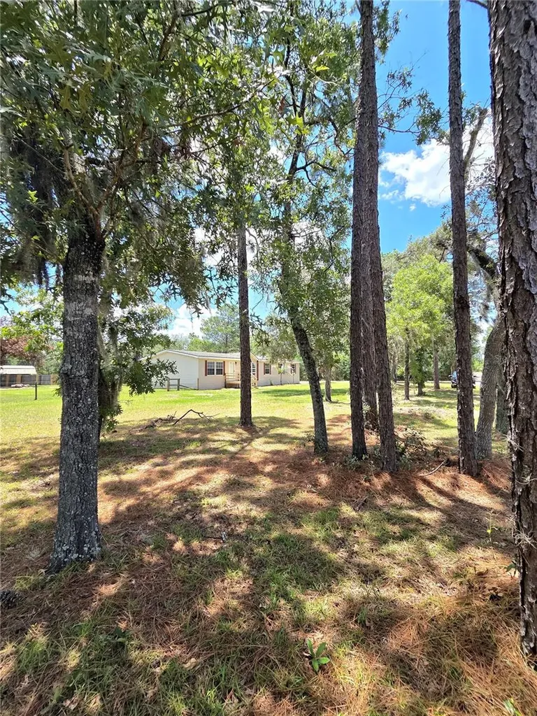 29341 Saddle Oaks Lane Brooksville FL 34602