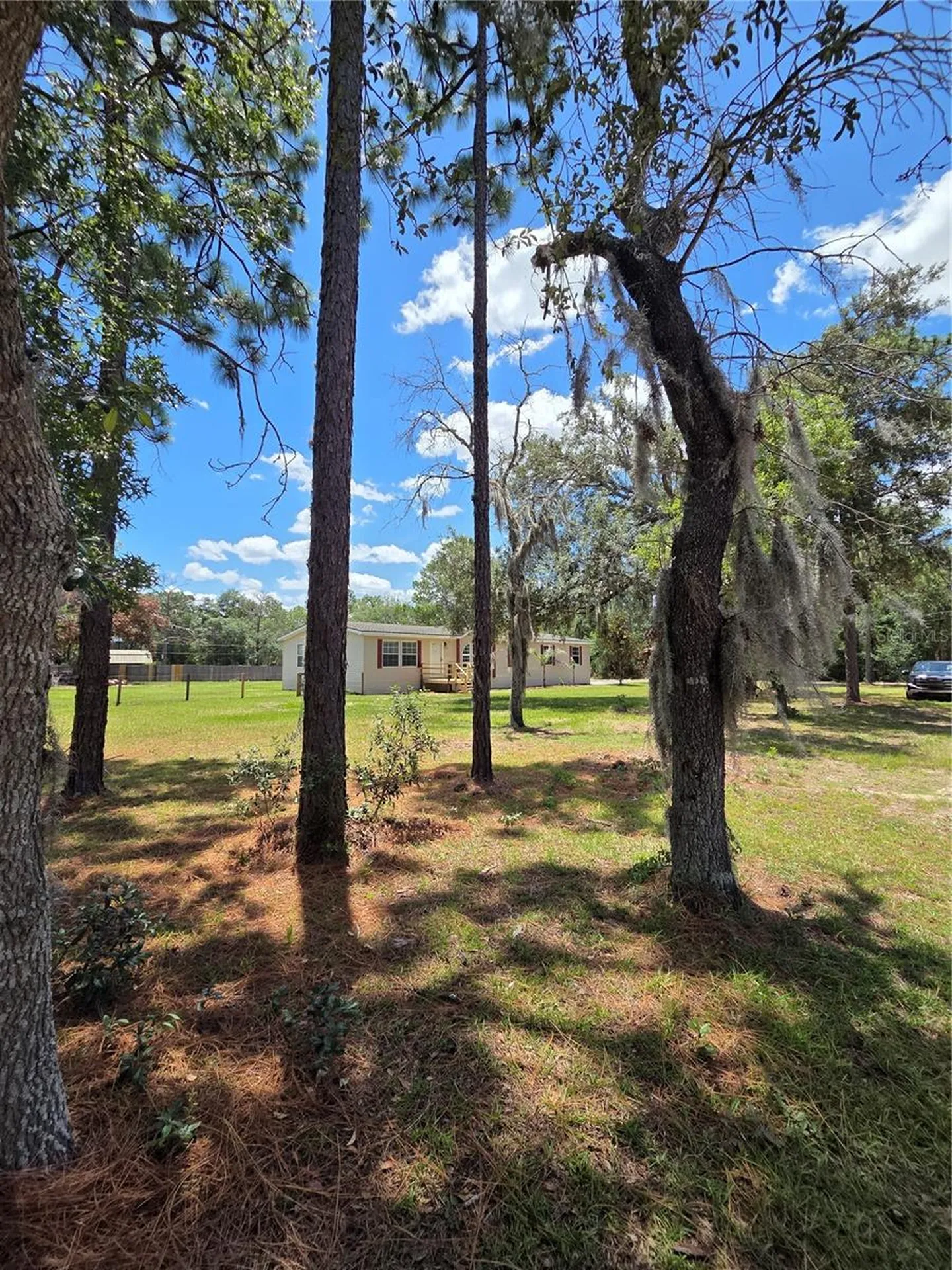 29341 Saddle Oaks Lane Brooksville FL 34602