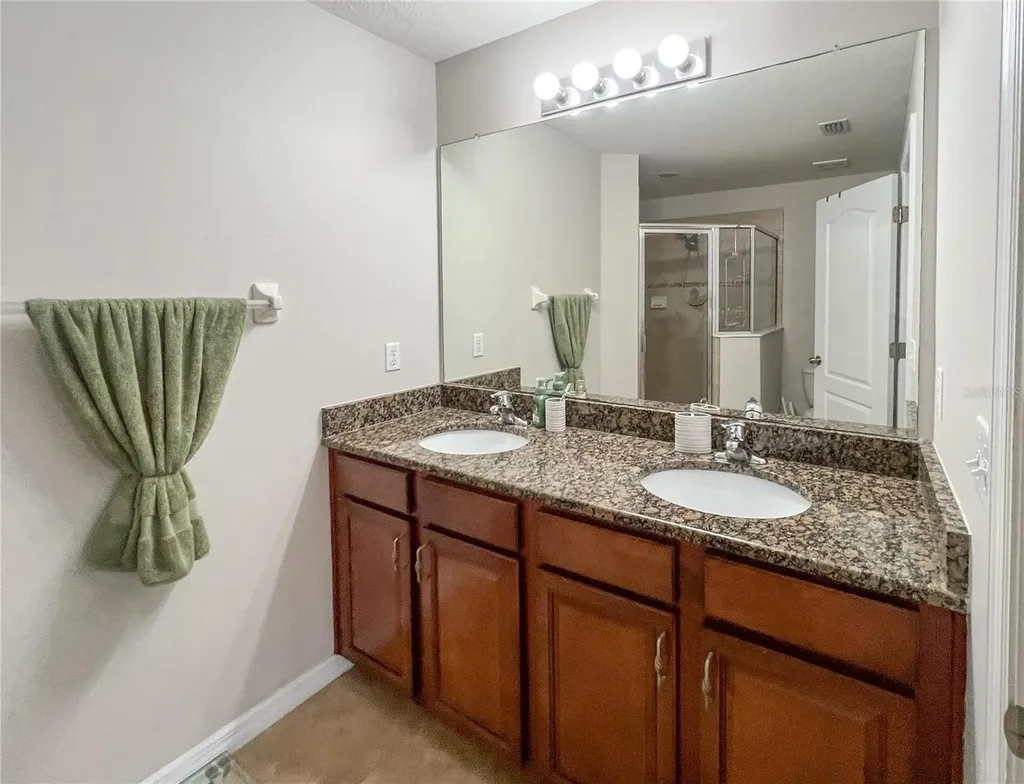 772 Spring Flowers Trail Brandon FL 33511