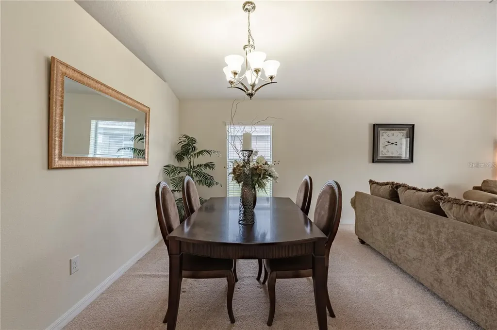 12116 Echo Basin Cove Riverview FL 33579