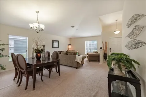 12116 Echo Basin Cove Riverview FL 33579