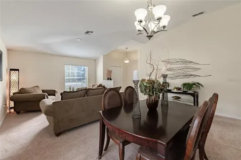 12116 Echo Basin Cove Riverview FL 33579