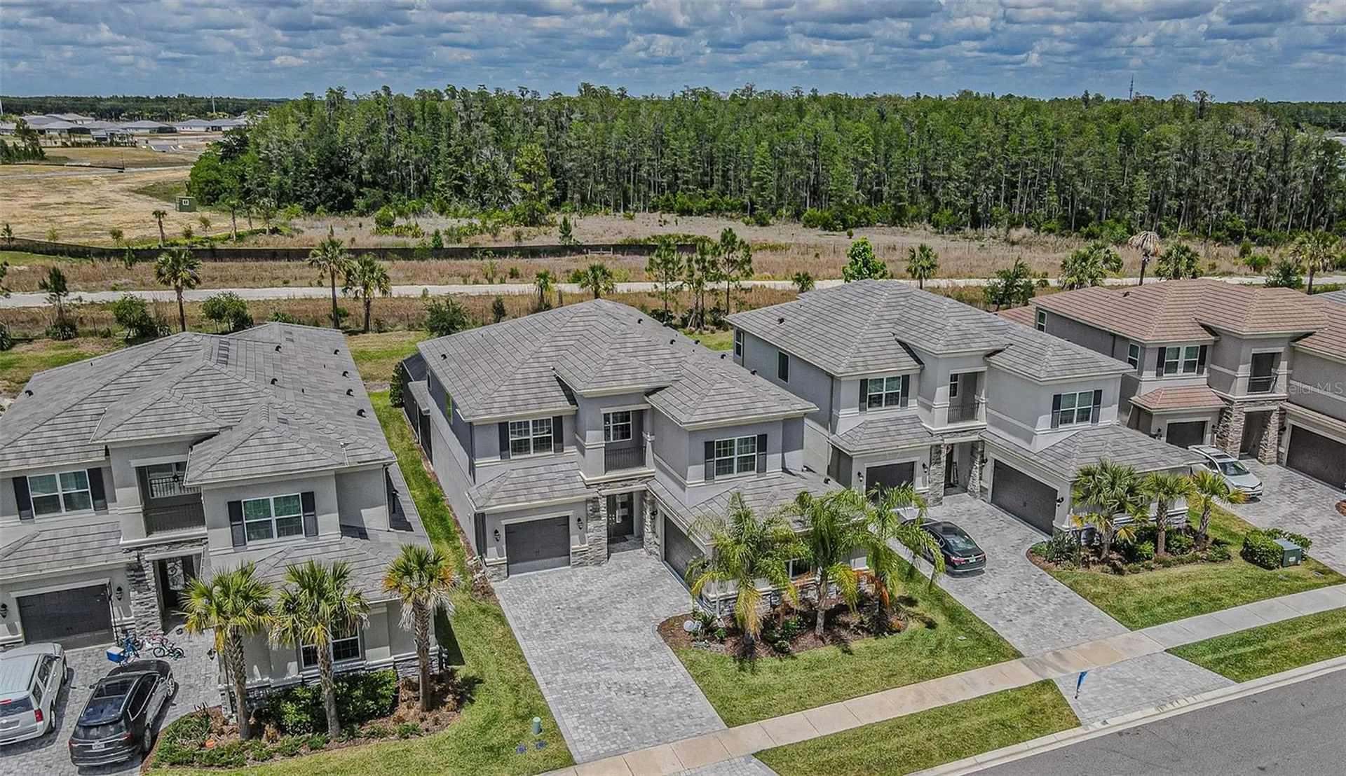 32353 Rosewood Meadow Lane Wesley Chapel FL 33543