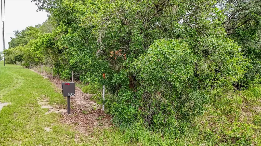 5501 Cemetery Road Mount Dora FL 32757