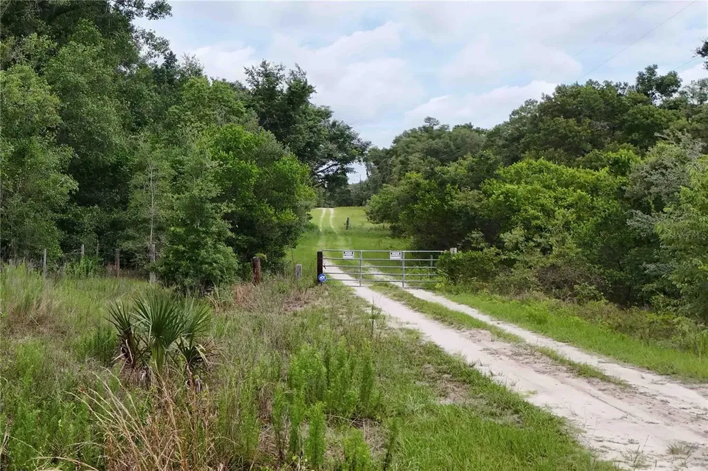 5501 Cemetery Road Mount Dora FL 32757