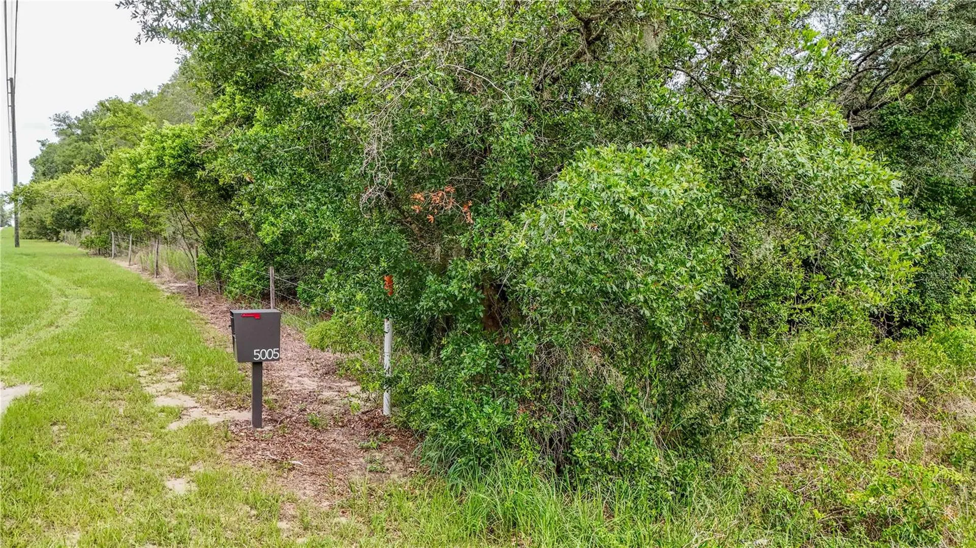 5501 Cemetery Road Mount Dora FL 32757