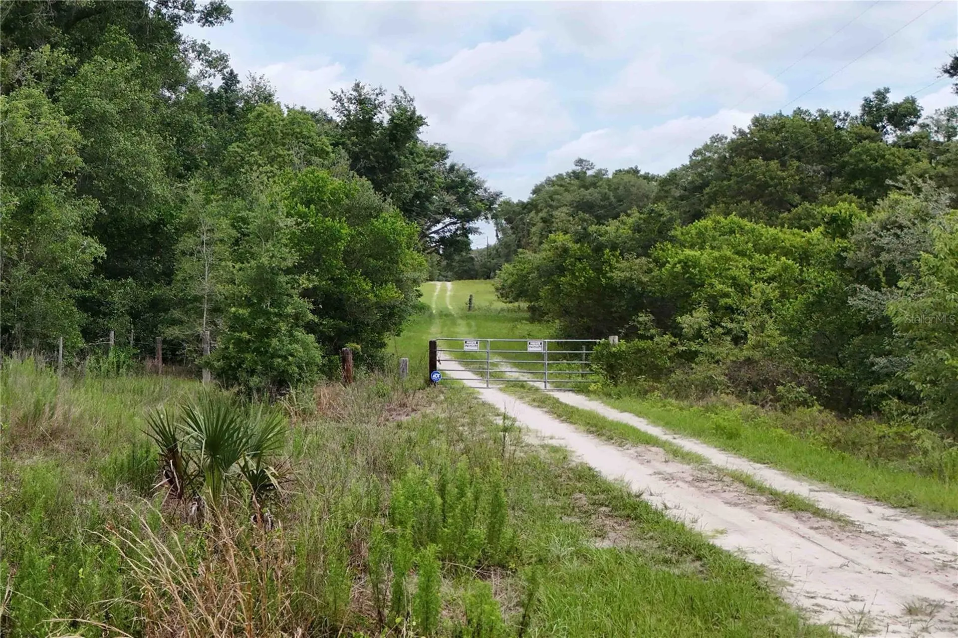 5501 Cemetery Road Mount Dora FL 32757