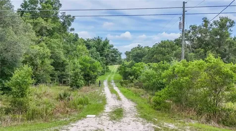 5501 Cemetery Road Mount Dora FL 32757