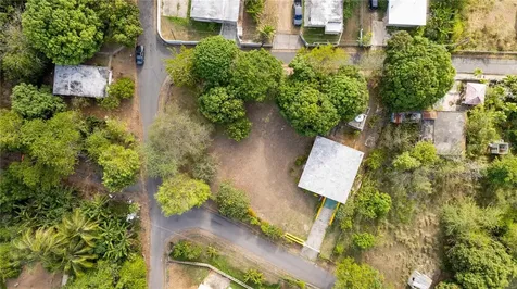 14 Gobeo Vieques PR 00765