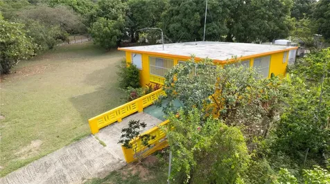 14 Gobeo Vieques PR 00765