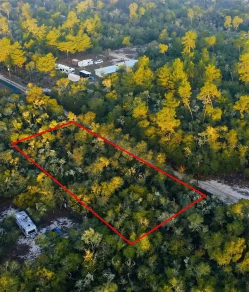 Tbd NE 234 Place Fort Mc Coy FL 32134