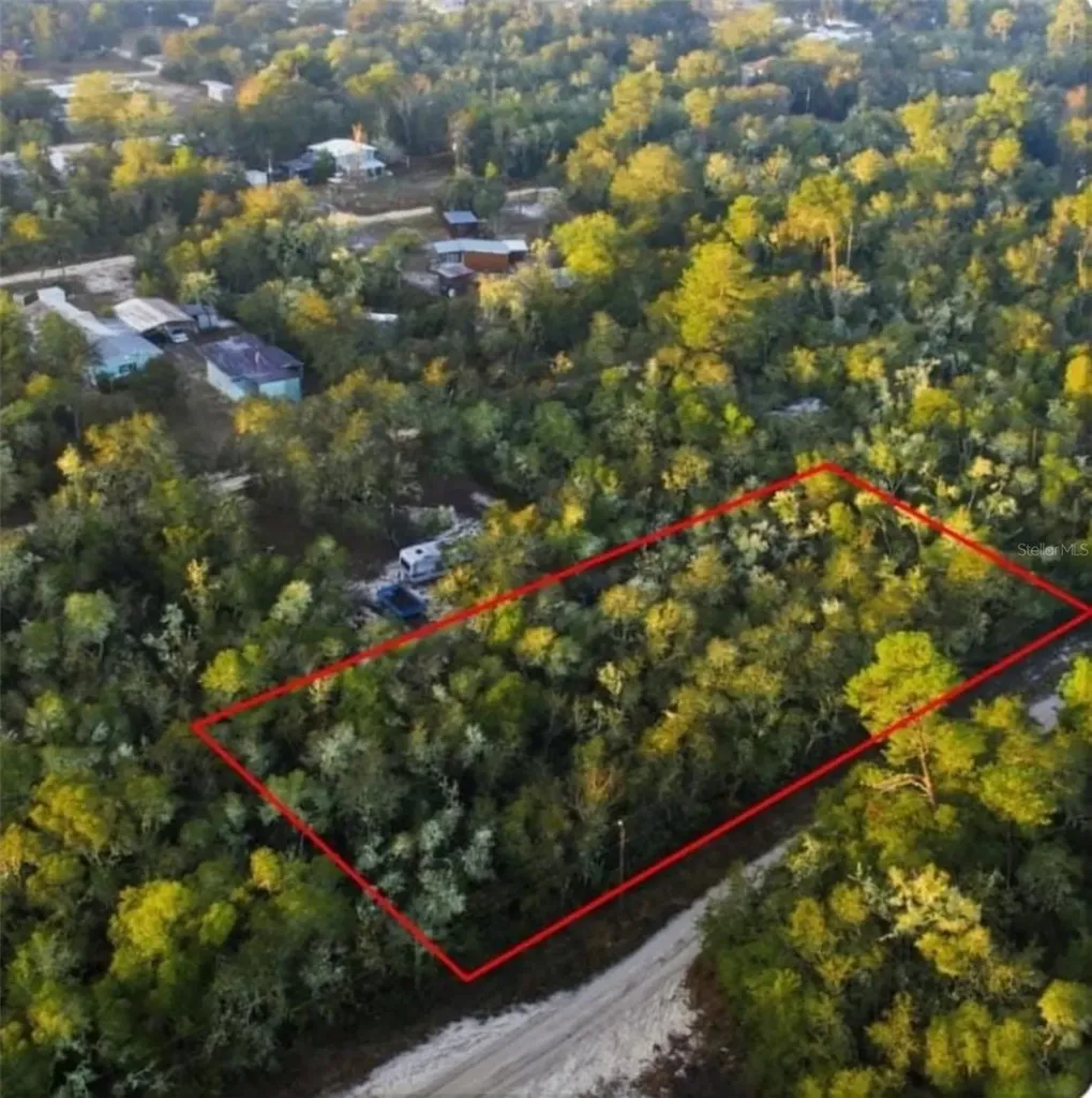 Tbd NE 234 Place Fort Mc Coy FL 32134