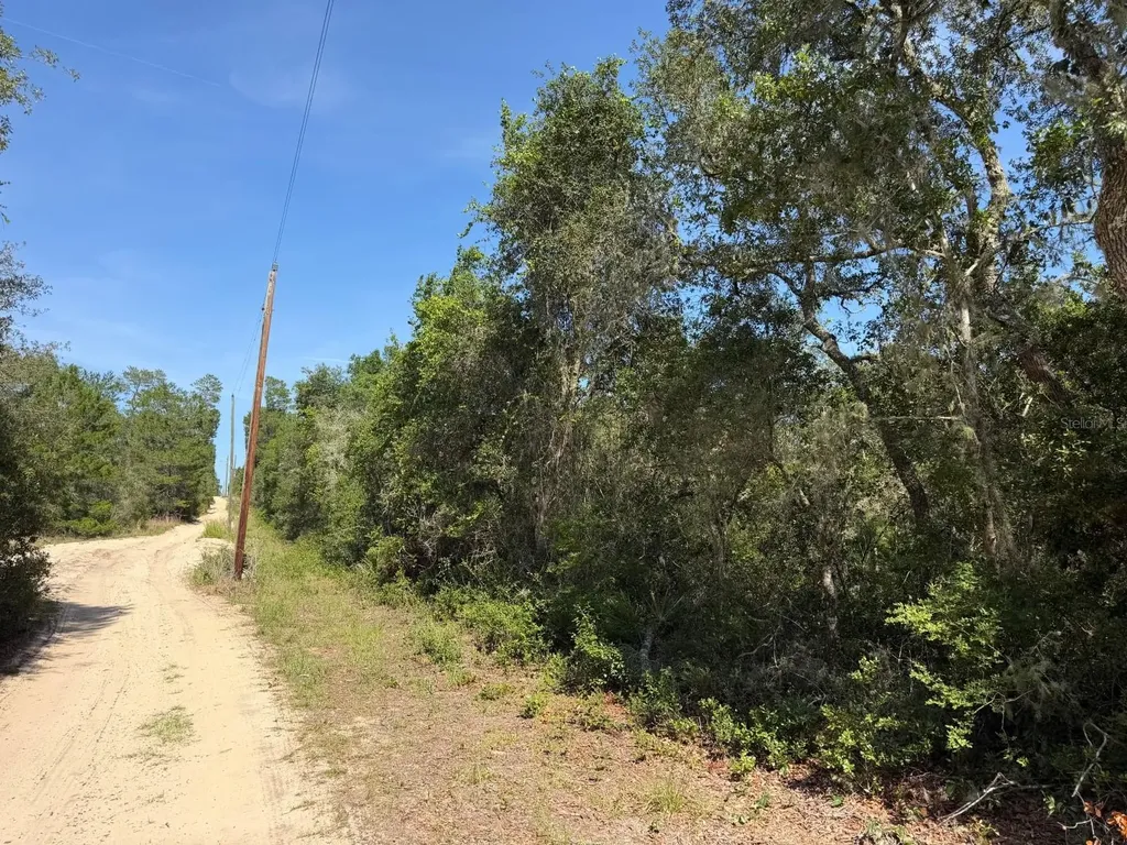 Tbd NE 234 Place Fort Mc Coy FL 32134