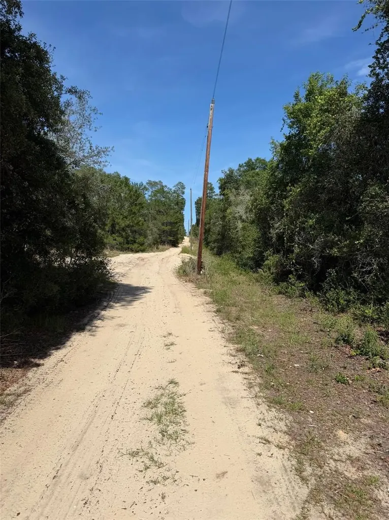 Tbd NE 234 Place Fort Mc Coy FL 32134