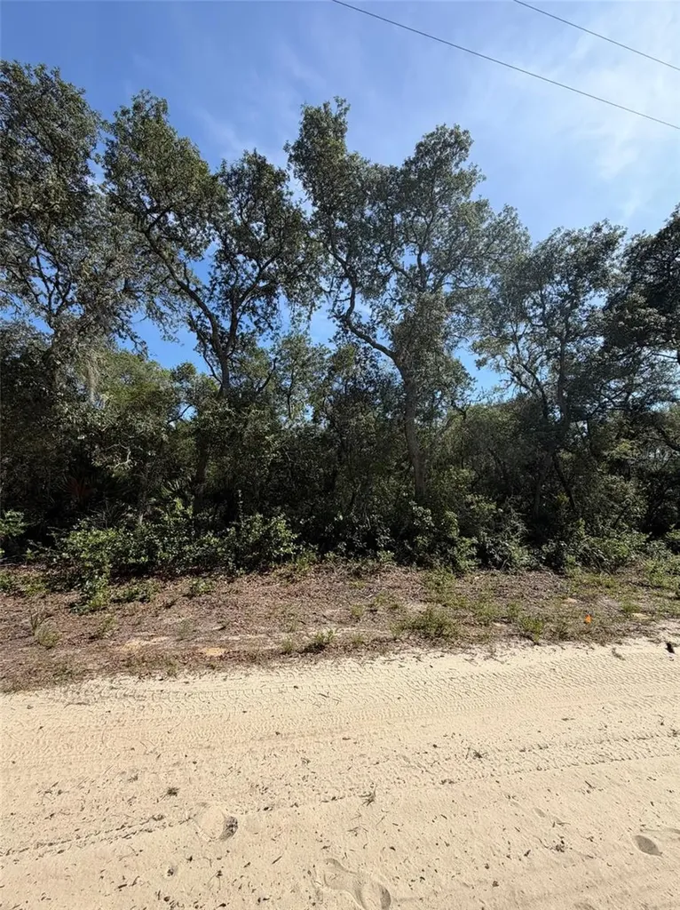 Tbd NE 234 Place Fort Mc Coy FL 32134