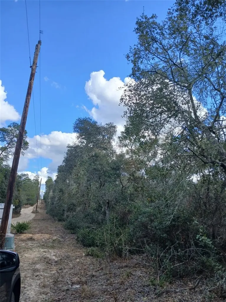 Tbd NE 234 Place Fort Mc Coy FL 32134