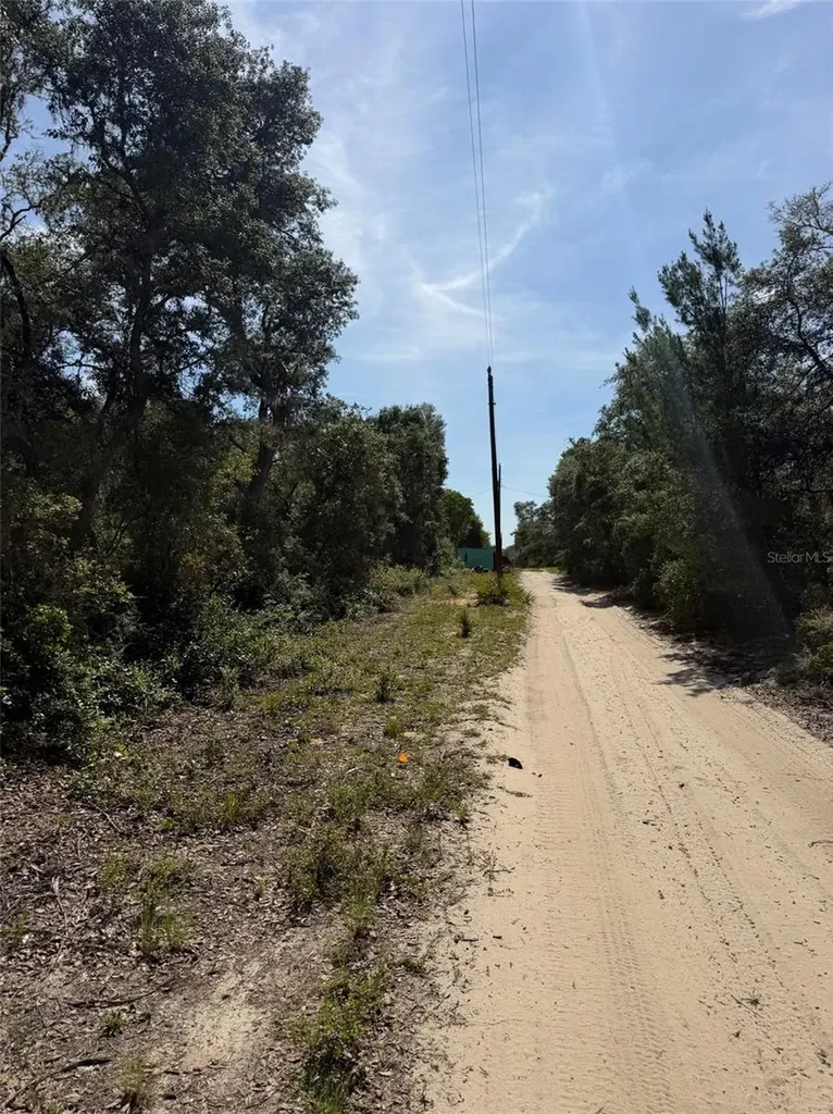 Tbd NE 234 Place Fort Mc Coy FL 32134