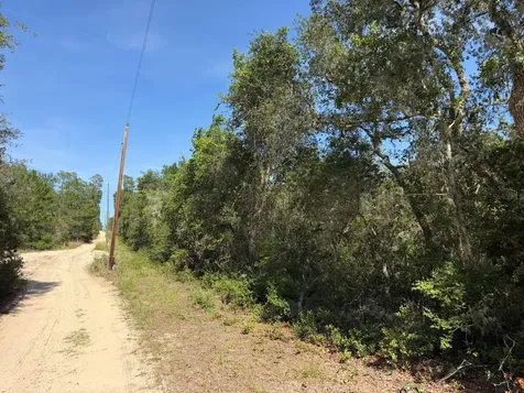 Tbd NE 234 Place Fort Mc Coy FL 32134