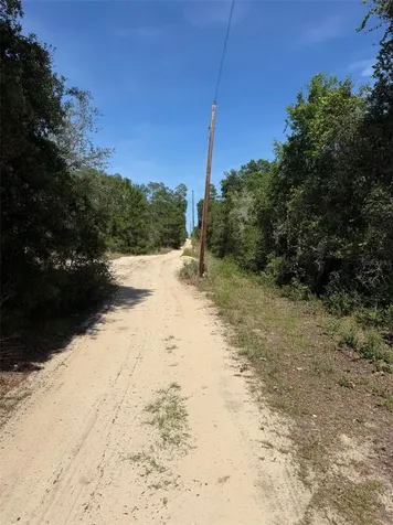 Tbd NE 234 Place Fort Mc Coy FL 32134