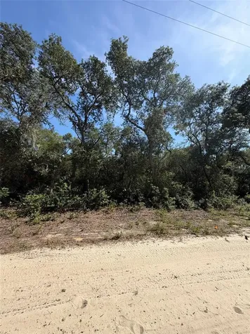 Tbd NE 234 Place Fort Mc Coy FL 32134