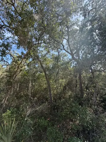 Tbd NE 234 Place Fort Mc Coy FL 32134