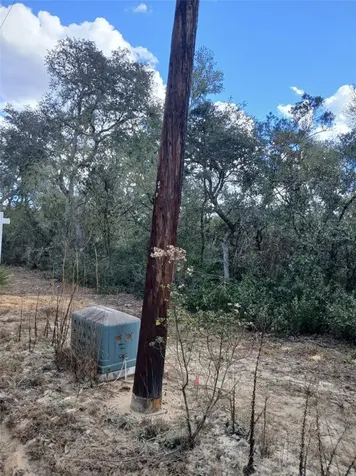 Tbd NE 234 Place Fort Mc Coy FL 32134