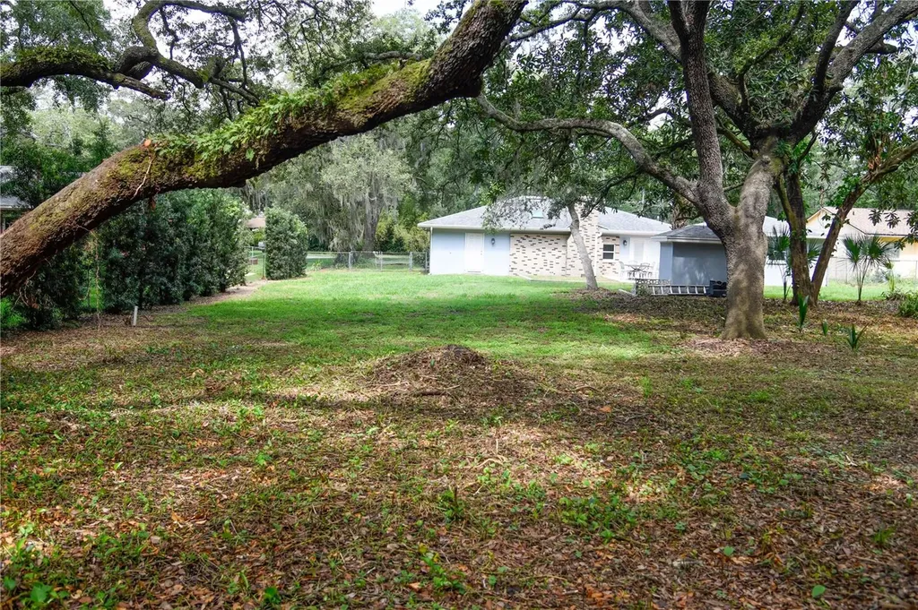 11715 N 51st Street Tampa FL 33617