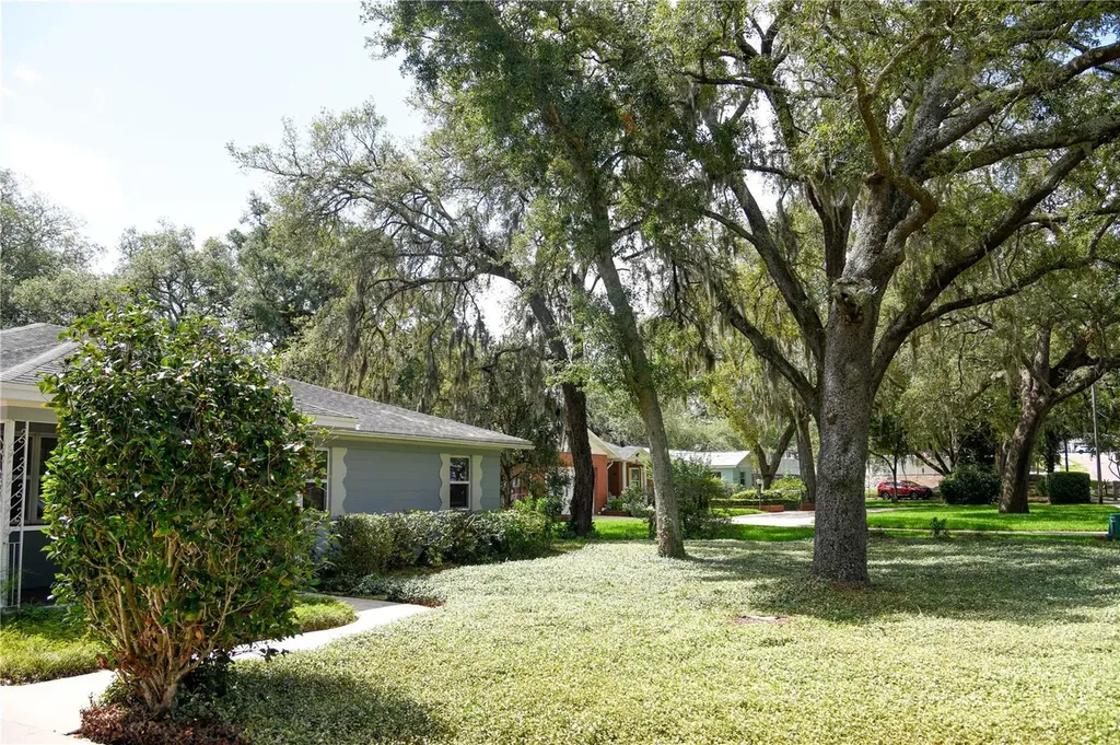 11715 N 51st Street Tampa FL 33617