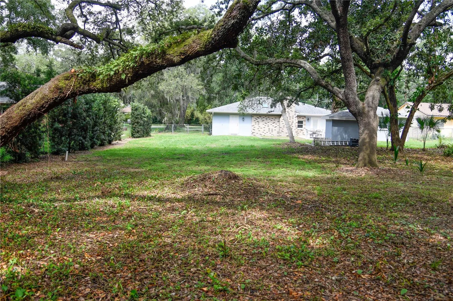 11715 N 51st Street Tampa FL 33617
