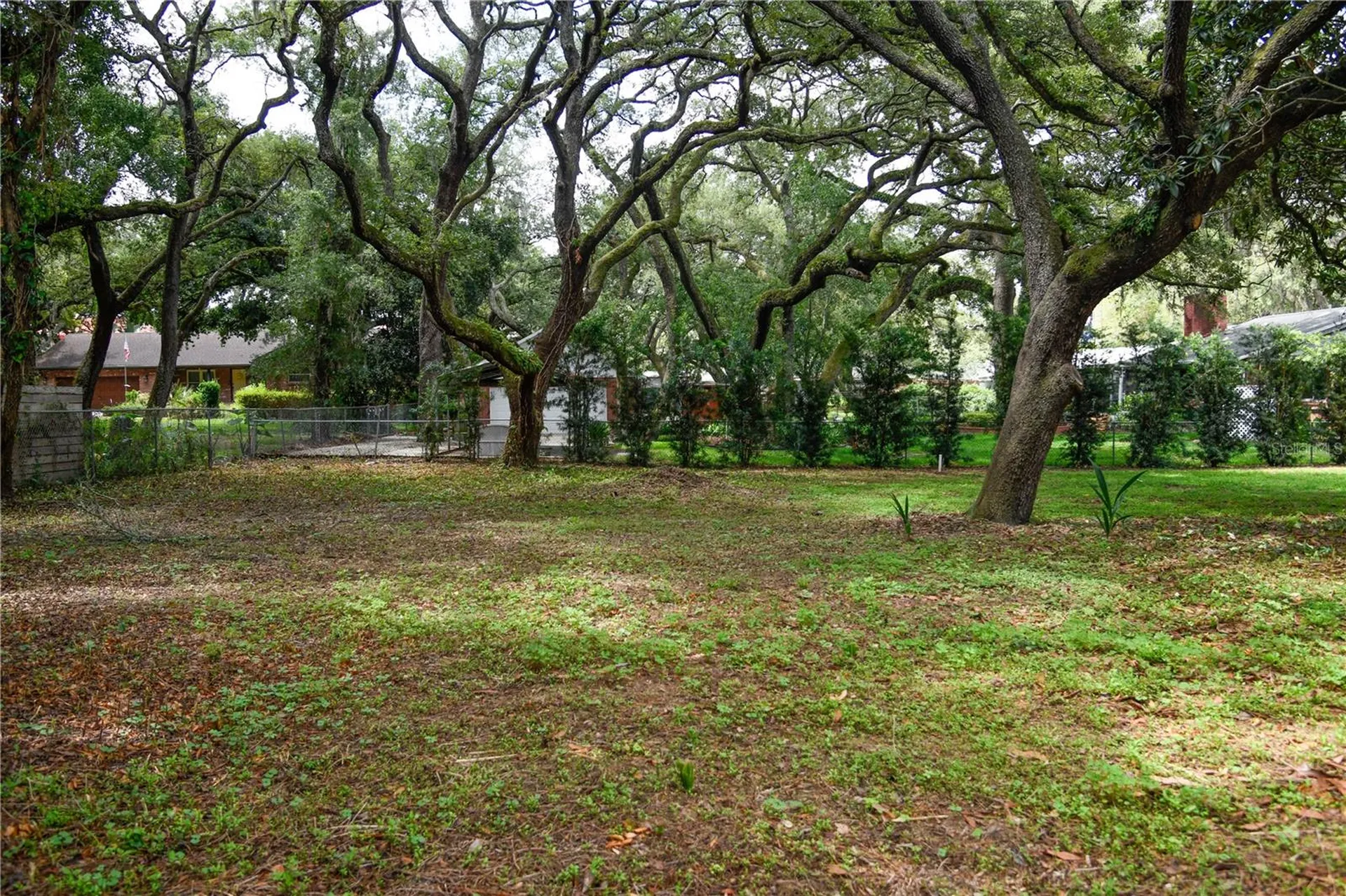 11715 N 51st Street Tampa FL 33617