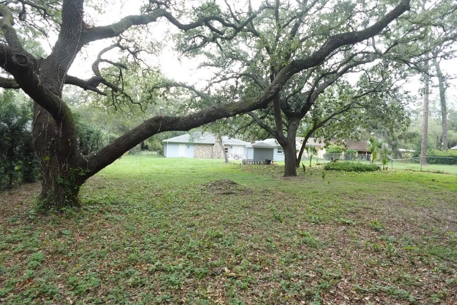 11715 N 51st Street Tampa FL 33617