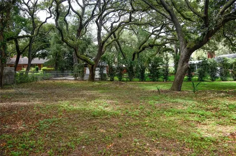 11715 N 51st Street Tampa FL 33617