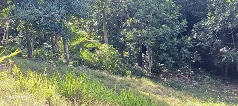 Carr 414 Km 1.3 Int Rincon PR 00677